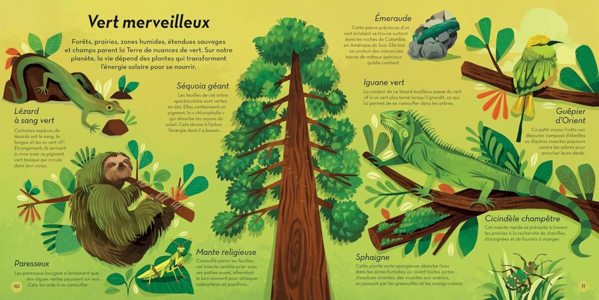 livre enfant original sur la nature