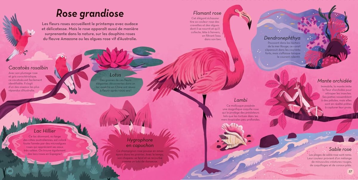 livre sur la nature enfant 5 ans
