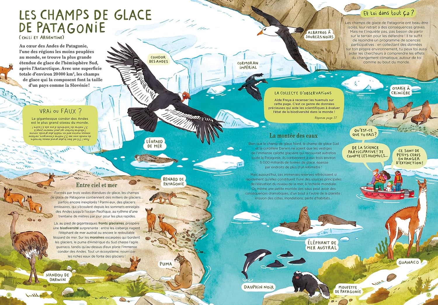livre jeunesse pour sensibiliser les enfants à la fonte des glaces