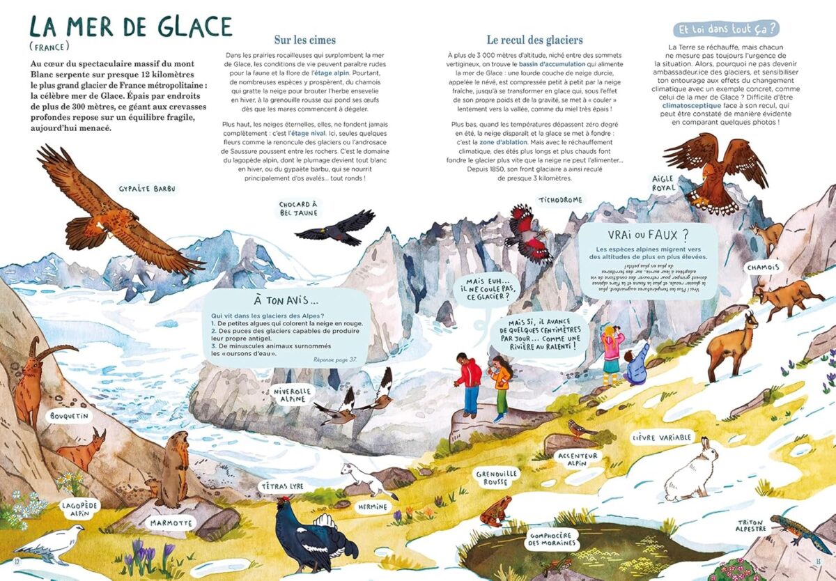 livre jeunesse sur la mer de glace