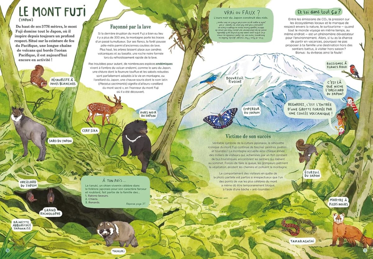 livre jeunesse sur le mont fuji