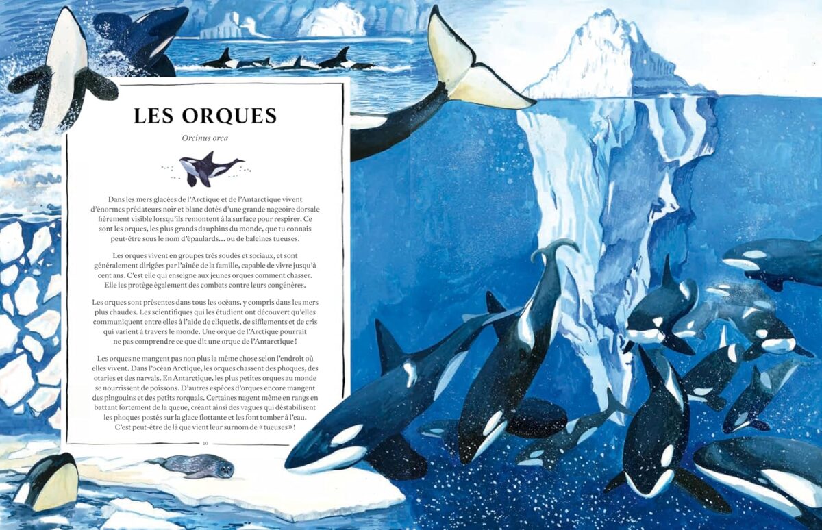 encyclopédie pour enfant sur les océans