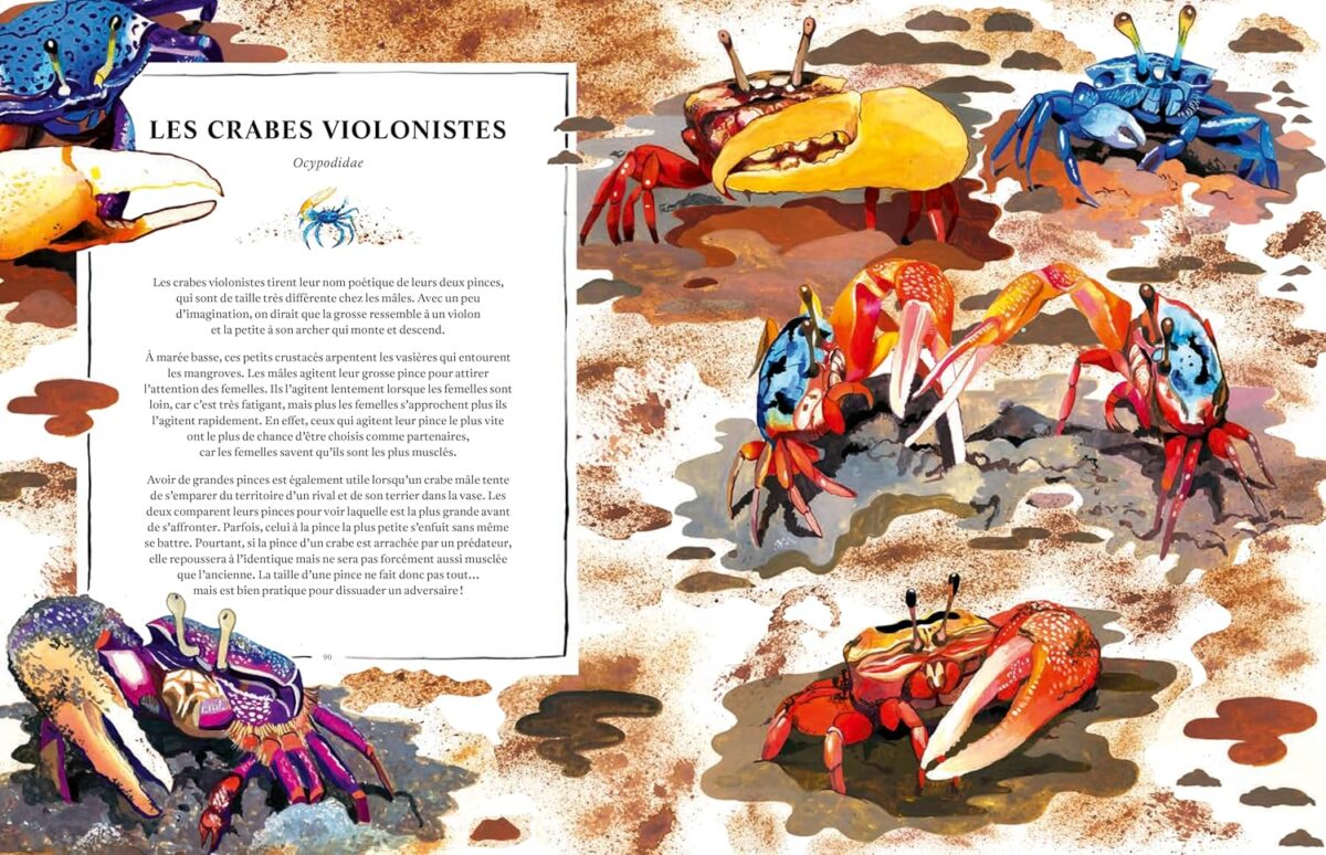 encyclopédie jeunesse sur les fonds marins