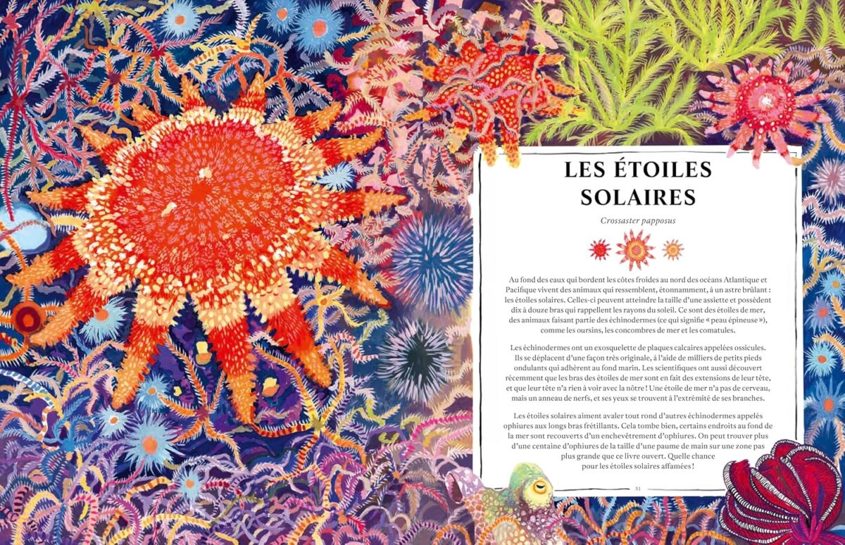 livre documentaire jeunesse sur les océans