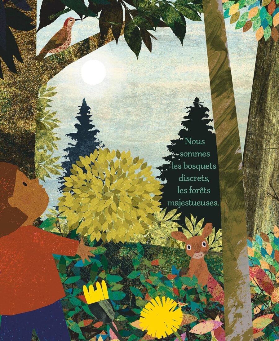 beau livre enfant sur la nature