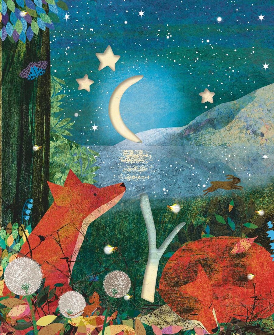 beau livre sur la nature enfant 6 ans