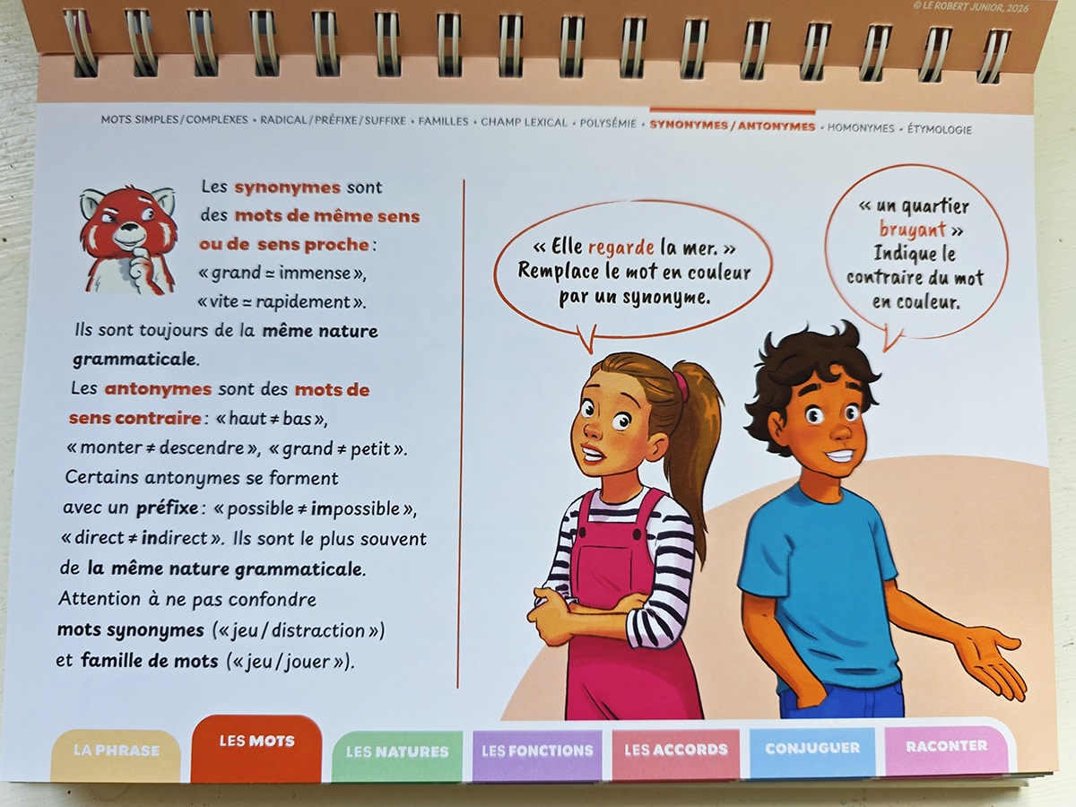 comment faire comprendre les synonymes et les antonymes en primaire
