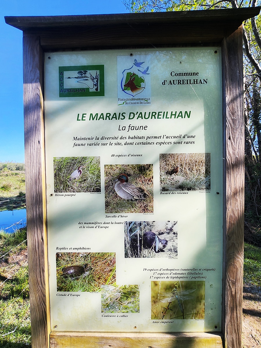 panneau pédagogique faune des marais d'aureilhan