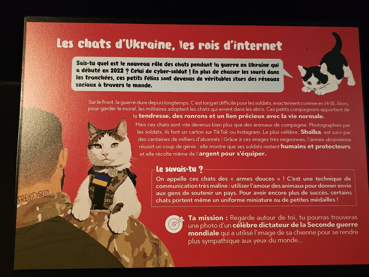 les chats dans la propagande pendant la guerre en ukraine expliqué aux enfants