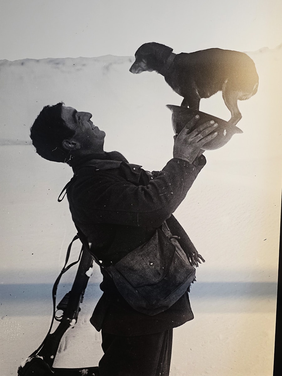 photo d'un soldat avec son chien pendant la guerre de 14-18