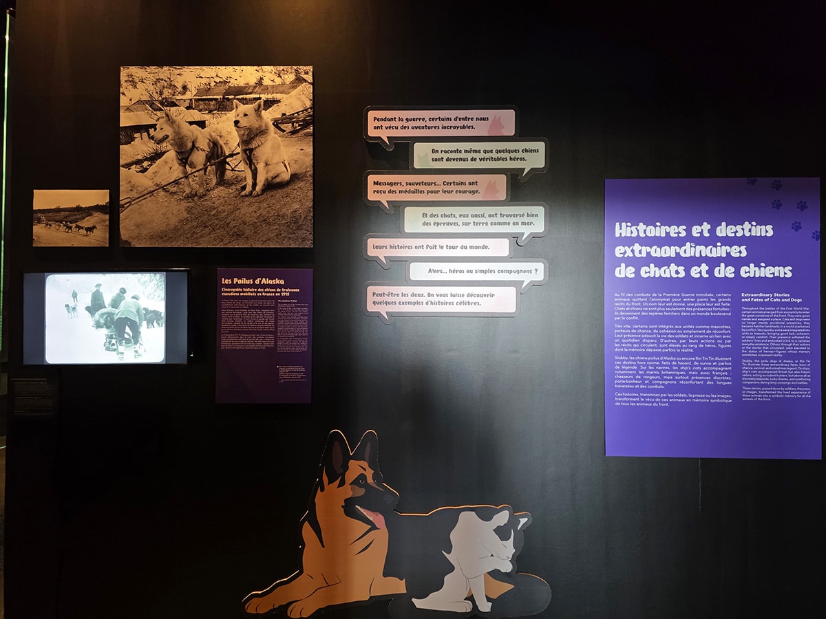 expo poilus à souchez quel age