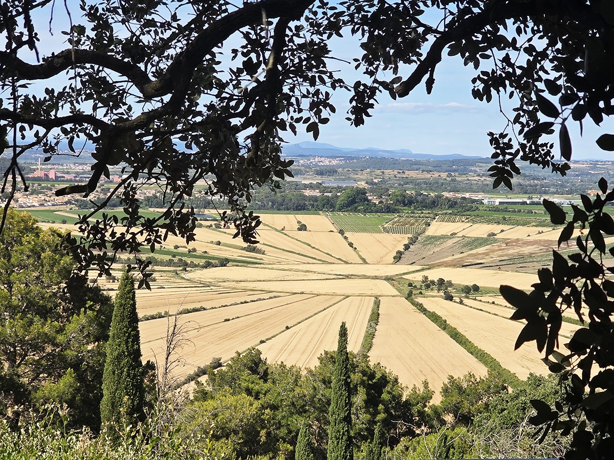 vue sur l'étang asséché de montady depuis l'oppidum d'enserune