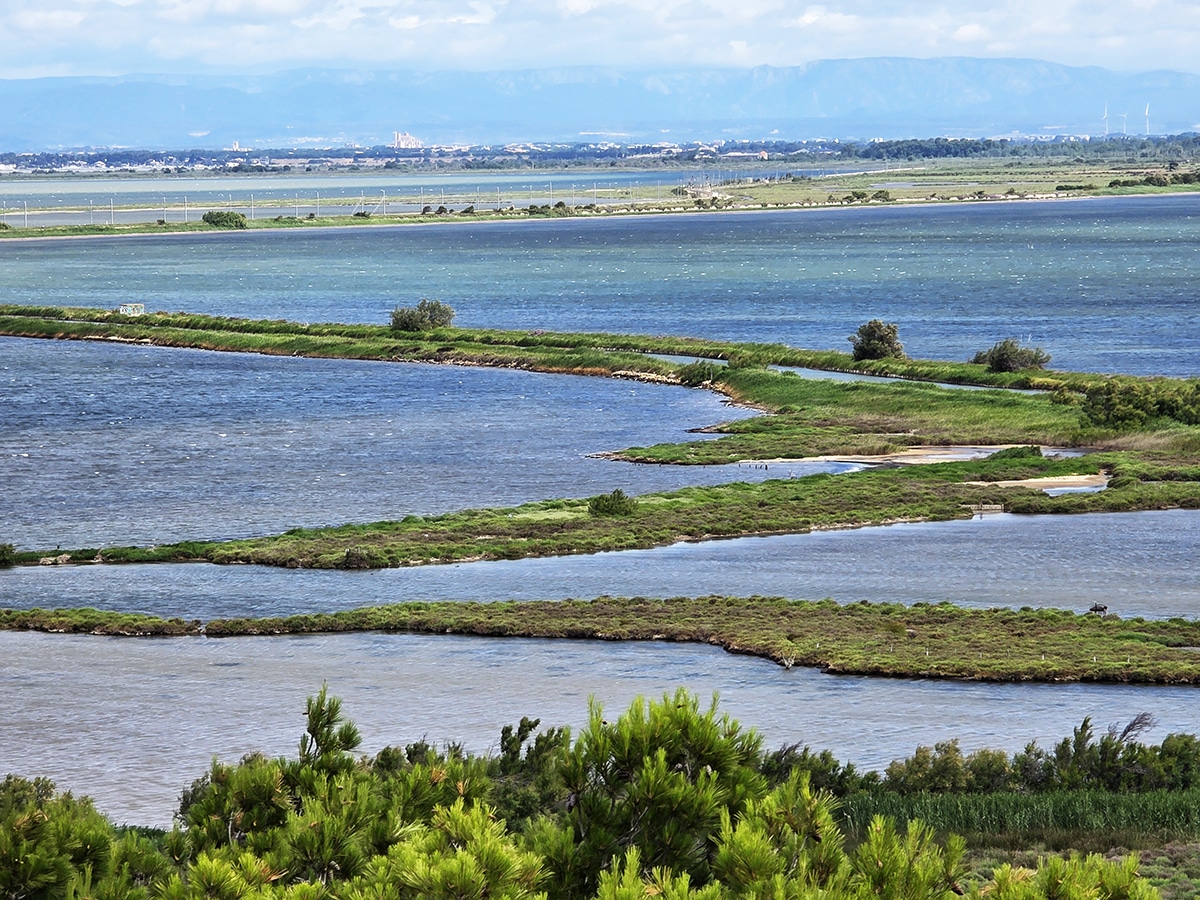 vue sur narbonne depuis la réserve sainte lucie